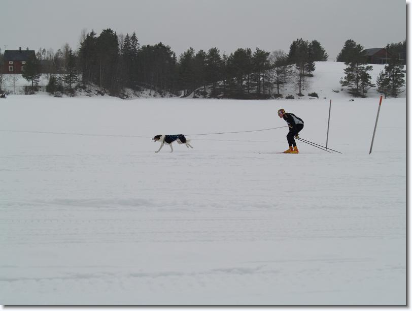Nästa bild